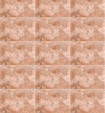 Ceramica-Petra-Magma-Cortines-30x45cm-satinado--135m2-