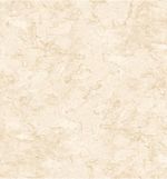 Ceramica-Benfica-Marfil-Alberdi-36x36cm-brillante--233m2-