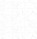 Porcellanato-Bianco-Apuano-Vite-60x120cm-pulido-rectificado--144m2-