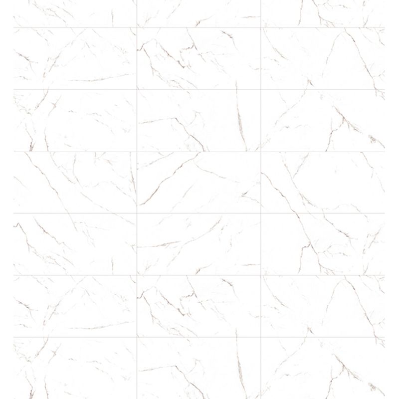 Porcellanato-Bianco-Apuano-Vite-60x120cm-pulido-rectificado--144m2-