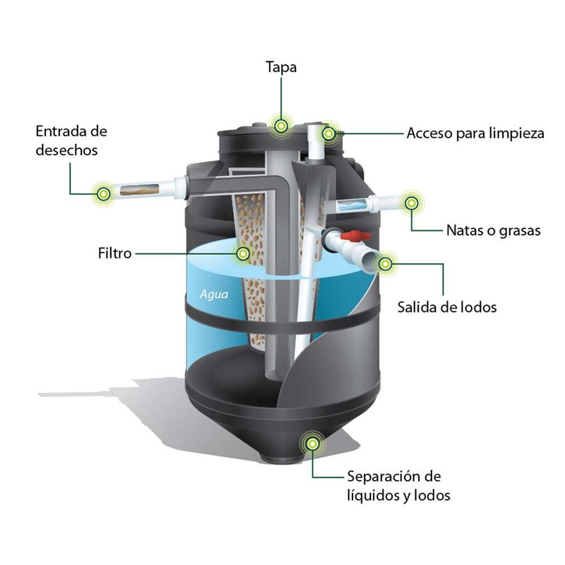 biodigestor2