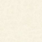 Ceramica-Niobium-Plus-62x62-Carmelo-Fior-brillante--232m2-